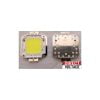 100 watt led chip for flood light. White or Warm White