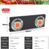 100W-200W-400W-COB-Led-Grow-Light-Full-Spectrum-LED-Grow-Lamp6
