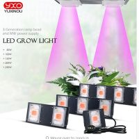 COB DOB Led Grow Light Full Spectrum 200W/ 300W/ 400W/ 500W For Vegetable Flower Indoor Hydroponic Greenhouse Plant Lamp